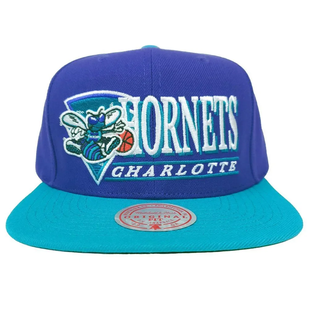 Charlotte Hornets Mitchell & Ness NBA Snapback Hat Cap 3D Logo Purple Teal NWT